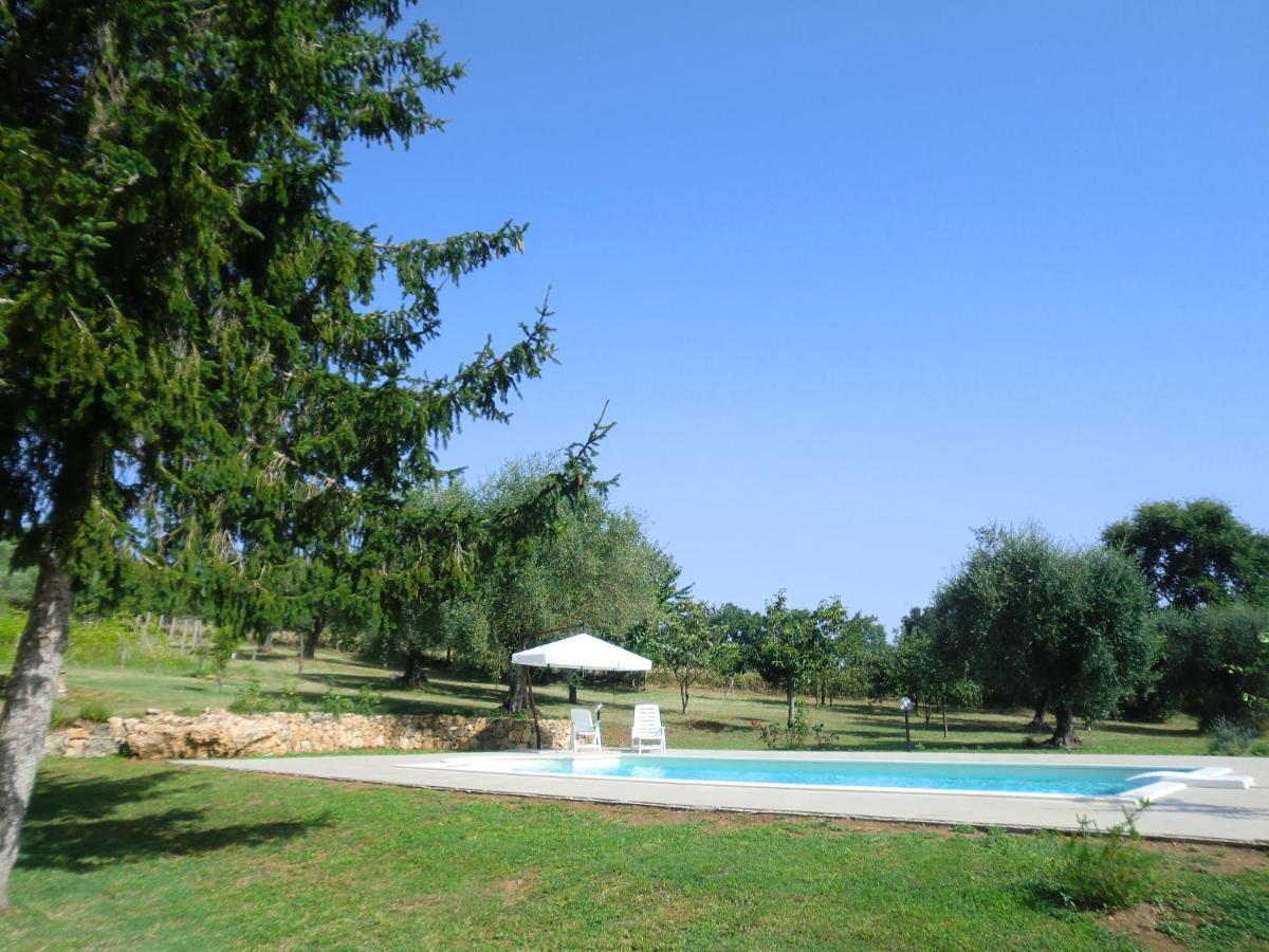 Bed and Breakfast I Massi San Michele in Teverina Exterior foto