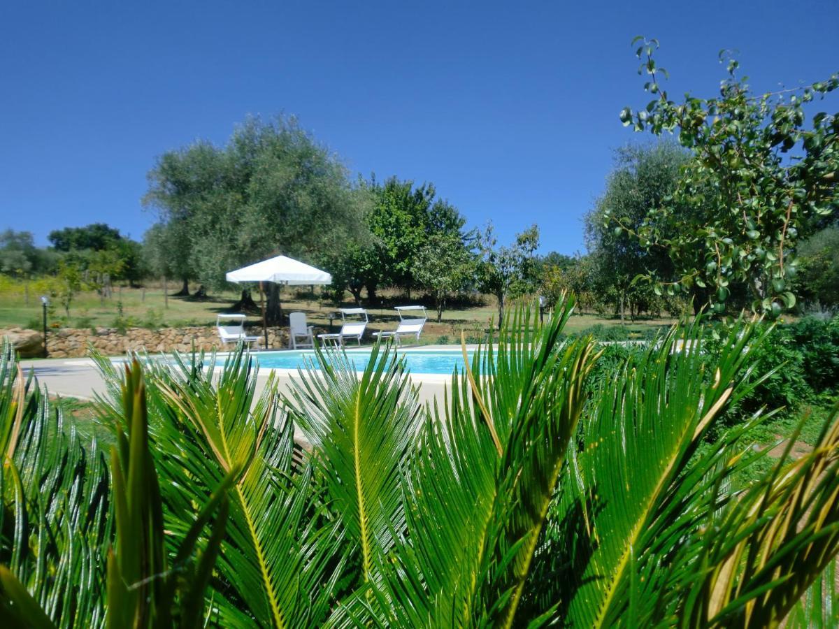 Bed and Breakfast I Massi San Michele in Teverina Exterior foto